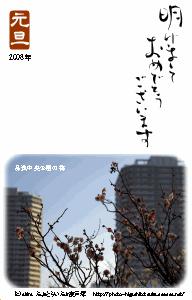 年賀状2008(梅・タワー).gif