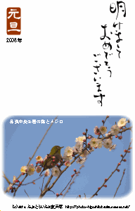 年賀状2008(梅・メジロ).gif